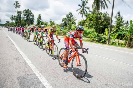 20170222LTDL_1_S-65.jpg