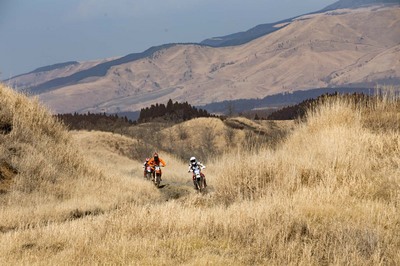 _MG_4179.jpg