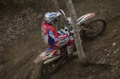 _MG_7940.jpg